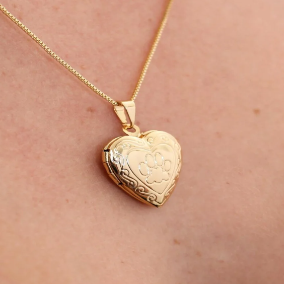 Colar Relicário Mãe de Pet Banhado a Ouro 18k